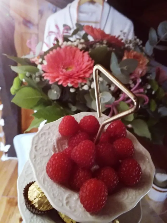 ***** Bed & Breakfast La Plaine Enchantee Castagnac Frankrig